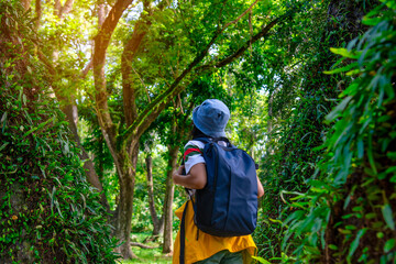 Hiker with backpack relaxing young woman hiking holiday, wild adventure.
