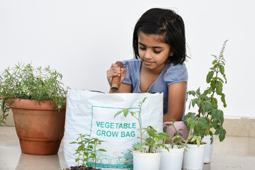 Cute young Indian girl kid in her organic vegetable garden. Cute Little girl taking care city...