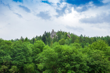 Fototapeta na wymiar Summer landscape with mountains and forest by cloudy blue sky, Ukraine