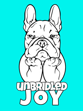 Grumpy cartoon french bulldog. Unbridled joy illustration. Stylish image for printing on any surface