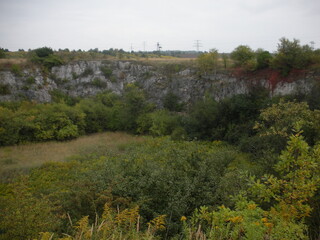 Obraz premium landscape with trees