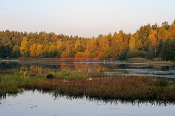 View of the forest lake in the early autumn morning. Moscow region. Russia.