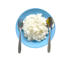 rice on a plate