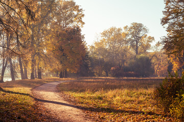 Obraz premium Footpath in a beautiful colorful autumn park