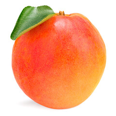 single apricot fruit with green leaf isolated on white background. full depth of field