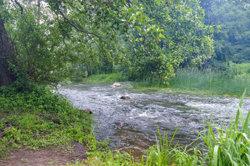Fototapeta na wymiar Shallow clean river in summer. Shallow roaring river.