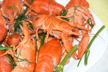 red boiled crayfish in spices and herbs on a white plate