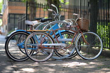 Fototapeta na wymiar Colored bicycles are parked against the background of a city street