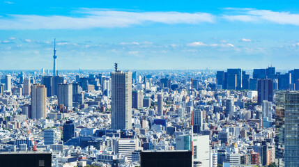 Obraz premium 東京都市風景
