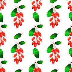 Autumn watercolor seamless pattern of red barberries bunches and green leaves.Isolated on white background.Fall botanical hand drawn illustration.For seasonal wallpaper,wrapping paper,fabrics,textile.