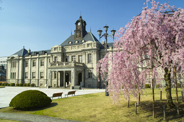 文翔館と桜