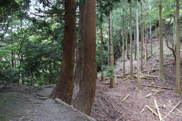 Fototapeta premium 登山家による様々な風景の撮影。みんなに伝えたいです。
