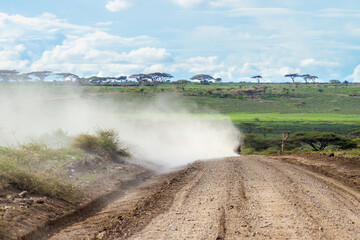 Fahrt durch die Savanne im Ngorongoro-Schutzgebiet im Norden Tansanias
