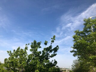 Obraz premium ILSAN, SOUTH KOREA