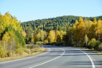 Autumnal Park. Autumn Trees and Leaves. Fall. Golden green orange leaves. Golden birch. The road going far away through the golden magic forest 