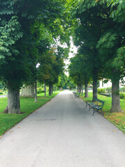 The Volksgarten garden near Hofburg Palace, Vienna Austria