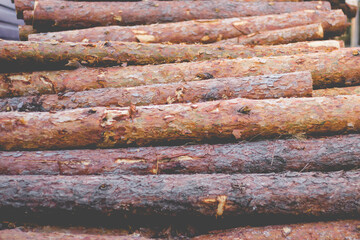 wooden logs as a background texture. timber concept