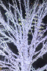 Xmasイルミネーション