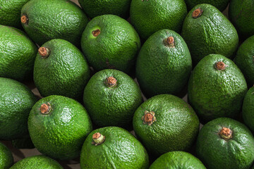 Fresh avocados on the vegetable market top view. Healthy food concept.