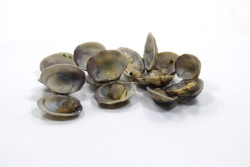 open clam shellfish seafood pasta sauce