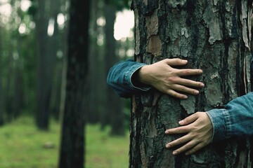 tourist Stand and embrace the tree Represents love for nature