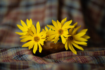 Kwiaty polne żółte na tkaninie © Seance_Photo_Sylwia
