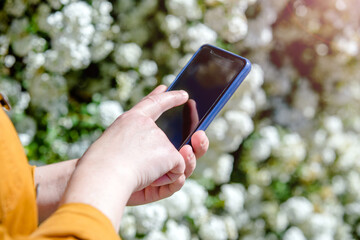 A girl writes in a smartphone against a background of white flowers