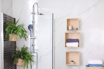 Obraz na płótnie Canvas Bathroom interior with shower stall and houseplants. Idea for design