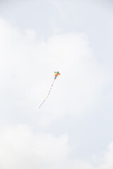 Flying the kite at the Danish Western coast