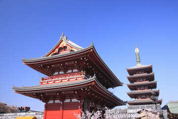 浅草寺