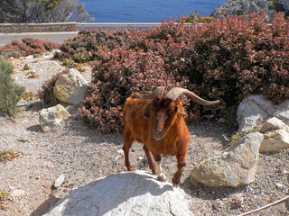 Mallorca Landschaft