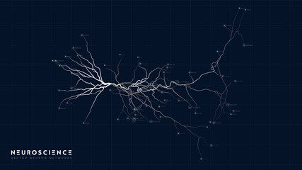 Neuron system model. Neural net structure. Research of the human nerve network. Digital artificial organism. Human mind cells data analysis.