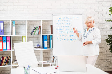 Online female teacher conducts webinars, classes or school lessons. A senior woman stands near flip...