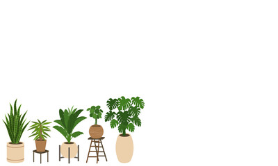 A set of Air Cleaning Plants in pots isolated on white background. Concept about house plants, gardening, hobbies and etc. 