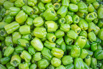 Green pepper background. Sweet pepper organic farm vegetables.
