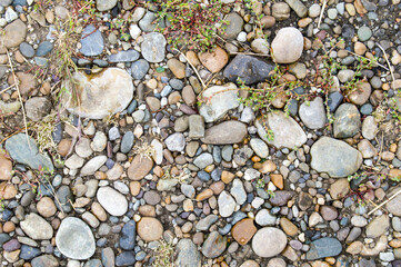 pebbles on the beach