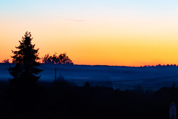 sunset in the forest