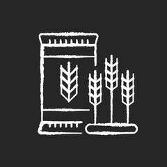 Malted barley chalk white icon on black background. Herbal ingredient for brewing. Brewery for beer production. Manufacture system for processing grain. Isolated vector chalkboard illustration