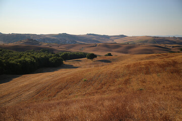 Obraz premium The landscape of The Val D'Orcia in Tuscany, Italy