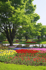 Plakat チューリップ咲く公園