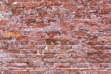 Grunge Brick Wall Background