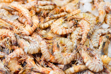 Close-up background from freshly caught natural shrimps.