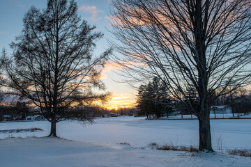 Sunset between two trees in winter in Michigan