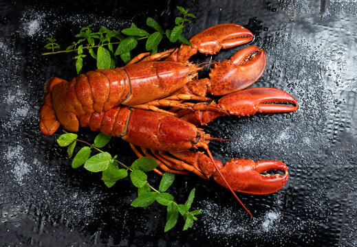 Two cooked lobsters, seafood on black background