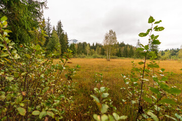 Rundweg am Schwarzsee bei Kitzbühel in Tirol bei Regen und Wolken