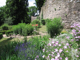 Blumen und Mauern im Burggarten in Lindenfels Odenwald Hessen