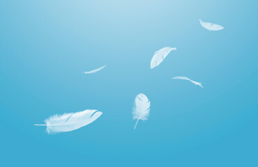 Group of a white bird feathers floating in the sky. Feather abstract freedom concept background. 