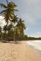Obraz premium The perfect paradise beaches of Ilha Boipeba and Morro do Sao Paolo islands in Brazil