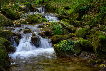 zadielska valley with a picturesque stream and green vegetation