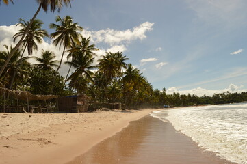 Fototapeta na wymiar The perfect paradise beaches on island Ilha Boipeba in Brazil